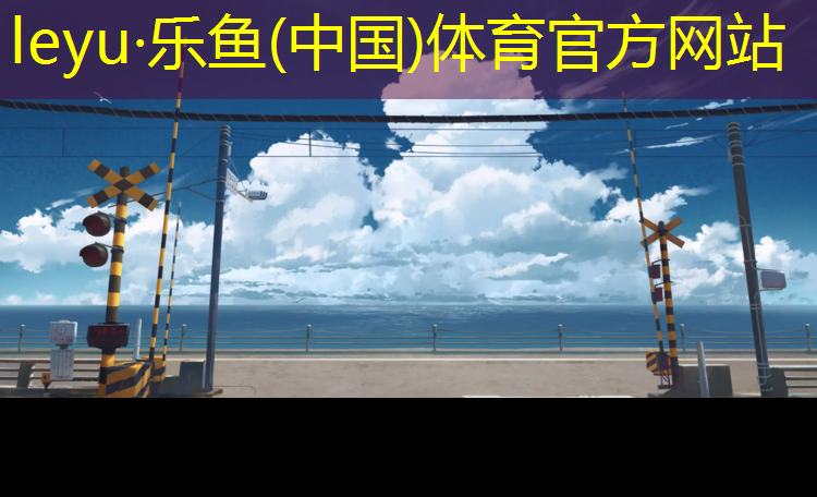 乐鱼体育,网球网线张力测试标准是多少_
