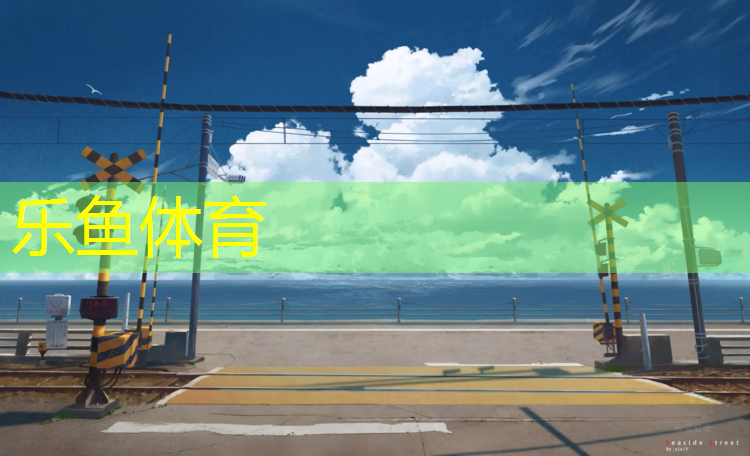 大同预制型塑胶跑道施工